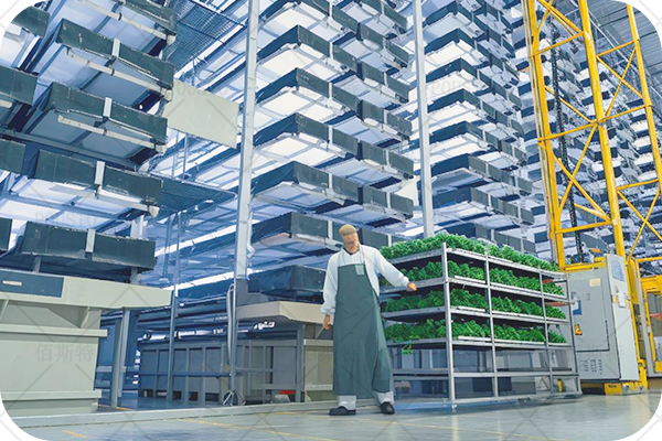 倉(cang) 儲(chu) 行業(ye) ,效率提升